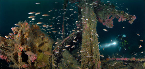 the Tuna Clipper Ship Wreck